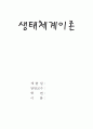 생태체계이론 1페이지