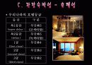 관광숙박업의 정의와 발전, 미래 (ppt발표자료) 17페이지