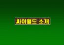 싸이월드의 마케팅 분석 3페이지