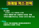 싸이월드의 마케팅 분석 13페이지