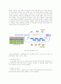 인터넷 데이터 센터 (IDC)의 이해 및 현황 2페이지