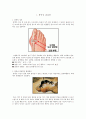 통풍성 관절염 2페이지