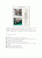 통풍성 관절염 5페이지