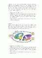 [경제학원론]환율변동 6페이지