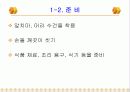 기술 가정 학습지도안 발표 ppt 11페이지