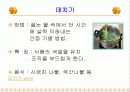 기술 가정 학습지도안 발표 ppt 31페이지