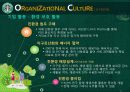 [경영][조직] 스타벅스 조직문화 12페이지