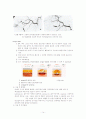 간세포암(HCC, hepatocellular carcinoma) 14페이지