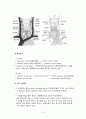 갑상선암(thyroid ca) 2페이지