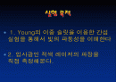 영의 이중슬릿 발표자료. 2페이지