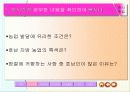 사회 수업 ppt 4페이지