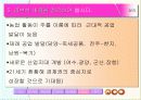 사회 수업 ppt 11페이지