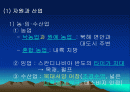중학교 사회PPT(북부유럽) 2페이지