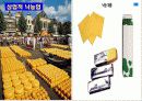 중학교 사회PPT(북부유럽) 9페이지