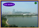일본과 중국(사회ppt) 13페이지