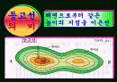 지역과 사회 탐구(중1 사회 ppt) 21페이지
