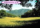 지형과 인간생활PPT 8페이지