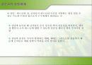 개신교·천주교 36페이지