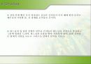 개신교·천주교 37페이지