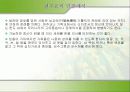 개신교·천주교 42페이지