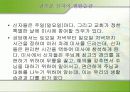 개신교·천주교 46페이지