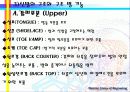 ABOUT FOOTWEAR 17페이지