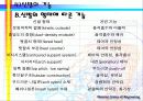 ABOUT FOOTWEAR 20페이지