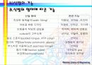 ABOUT FOOTWEAR 21페이지