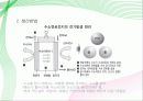 수소에너지 12페이지