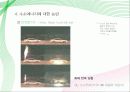수소에너지 32페이지