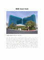 MGM Grand Hotel 1페이지