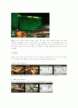MGM Grand Hotel 3페이지