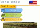 농협 및 협동조합발전방안 12페이지