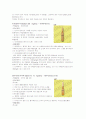 회전근개파열-case study 11페이지