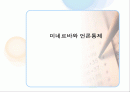 미네르바 와 언론통제 1페이지