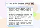 미네르바 와 언론통제 8페이지