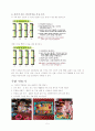해외봉사 계획서 (동티모르) 5페이지