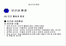 환경과 인간 2페이지