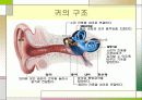 [간호학]성인간호학-청각장애 대상자 간호 5페이지