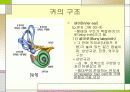 [간호학]성인간호학-청각장애 대상자 간호 9페이지
