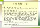 [간호학]성인간호학-청각장애 대상자 간호 15페이지