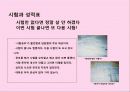 10대를 위한 색조화장품 브랜드 커뮤니케이션 전략 32페이지