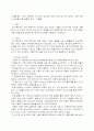 다음 네이버 마케팅전략분석 3페이지