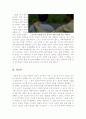 [꿈에관한영화][희망에관한영화]옥토버스카이 감상문+세상에서가장빠른 인디언 감상문 4페이지