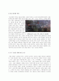 지옥의묵시록영화감상문[지옥의묵시록][전쟁영화][지옥의묵시록 감상문][지옥의묵시록 영화감상][지옥의묵시록] 5페이지