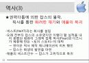 애플(APPLE) 소개 및 성공전략 아이폰 11페이지