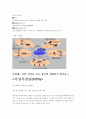 VPN(Virtual Private Network: 가상사설망) 2페이지
