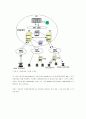 VPN(Virtual Private Network: 가상사설망) 11페이지