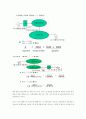 VPN(Virtual Private Network: 가상사설망) 18페이지