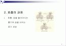 운동과 호흡계의 이해 5페이지